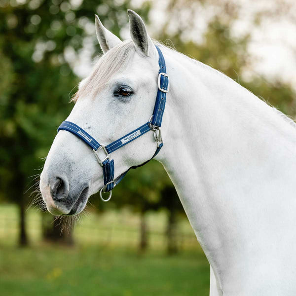 Horseware Fieldsafe Headcollar